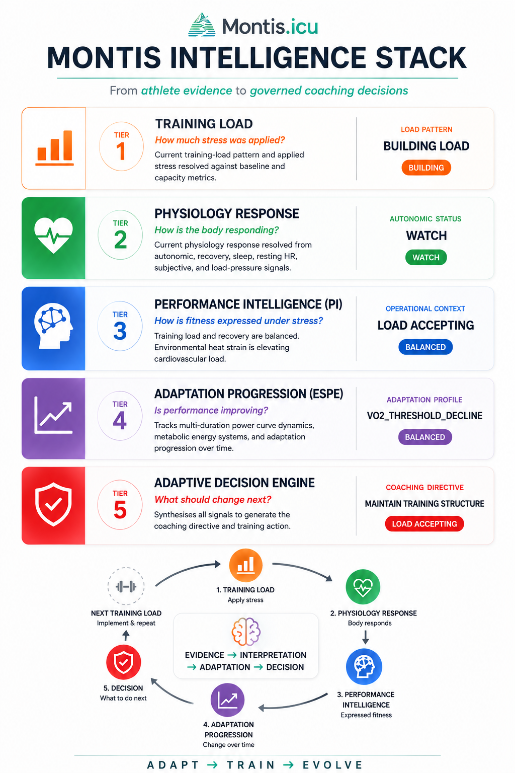 Montis Intelligence Stack showing the five coaching layers: Training Load, Physiology Response, Performance Intelligence, Adaptation Progression and the Adaptive Decision Engine.
